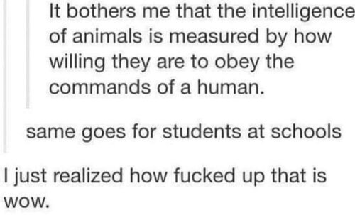 5F922DFE A6F5 45BF AA24 27830B49B14C