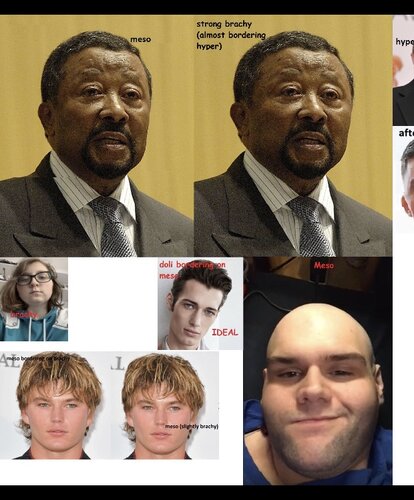 3D6E03B7 364B 4311 958D BED9CA04E0CE