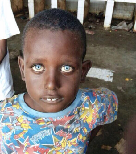 4839854C E41A 4D8D 807F 01850018950B