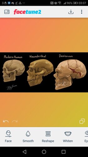 Screenshot_20200805-030734.jpg