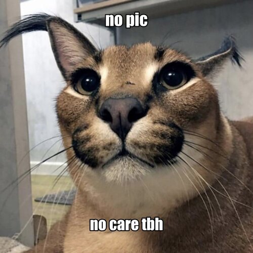 9.jpeg