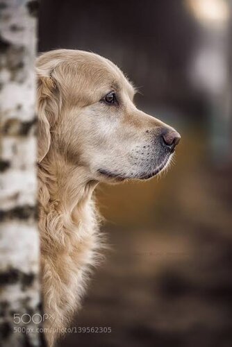 Images   2020 08 17T190521177