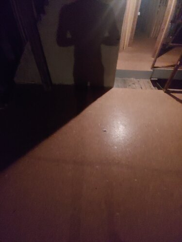 20200712_220043.jpg