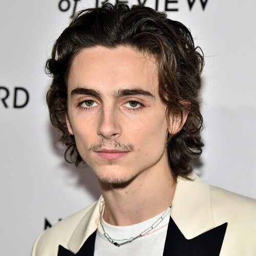 Timothee20chalamet