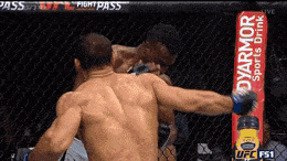 BrokenDownrightBluefish-max-1mb.gif