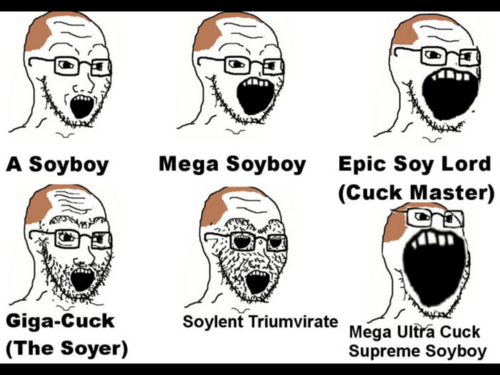 4510A609 2753 437A 81BE 53D0B6E89302