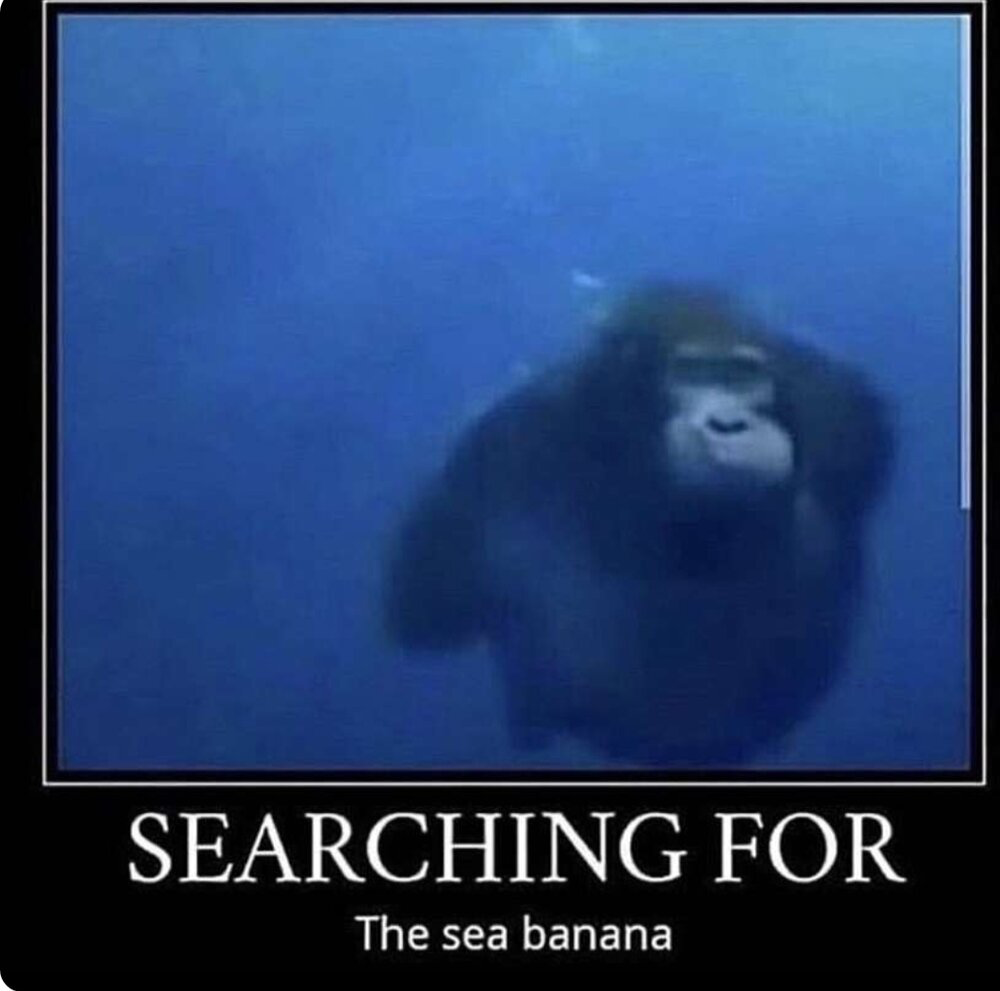 F57AC71D 4CF5 438D 8268 6F0B2F809439