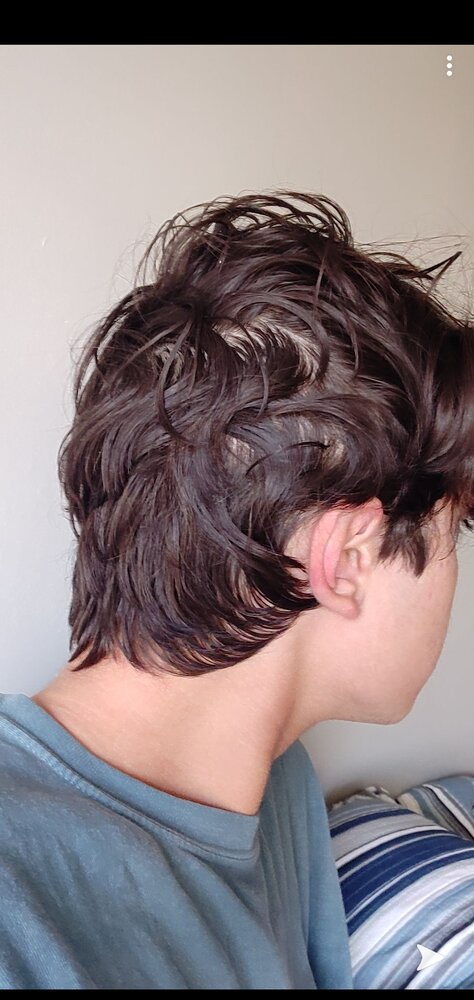 Screenshot 20200831 122730