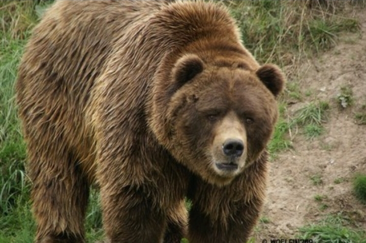 Screenshot 20200901 061118 DuckDuckGo