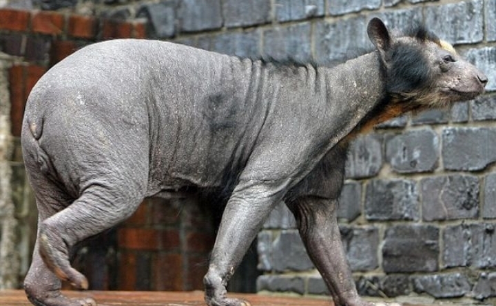 Screenshot 20200901 060601 DuckDuckGo