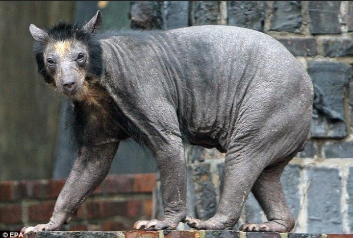 Screenshot 20200901 053426 DuckDuckGo