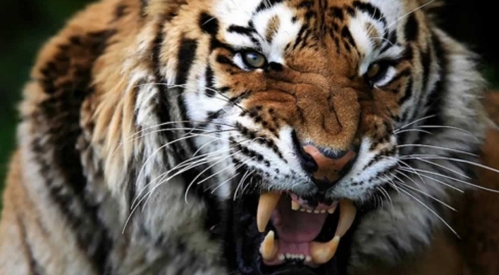 Screenshot 20200901 084407 DuckDuckGo