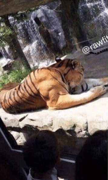 Screenshot 20200901 084232 DuckDuckGo