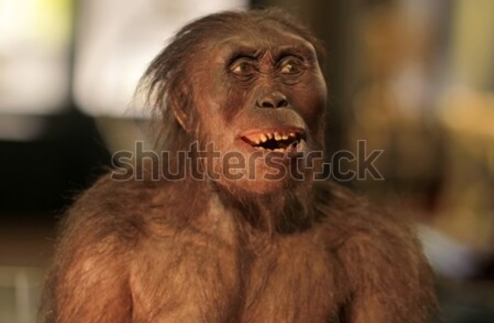 Screenshot 20200901 095923 DuckDuckGo