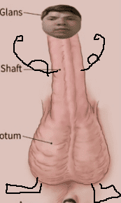 1599041286729