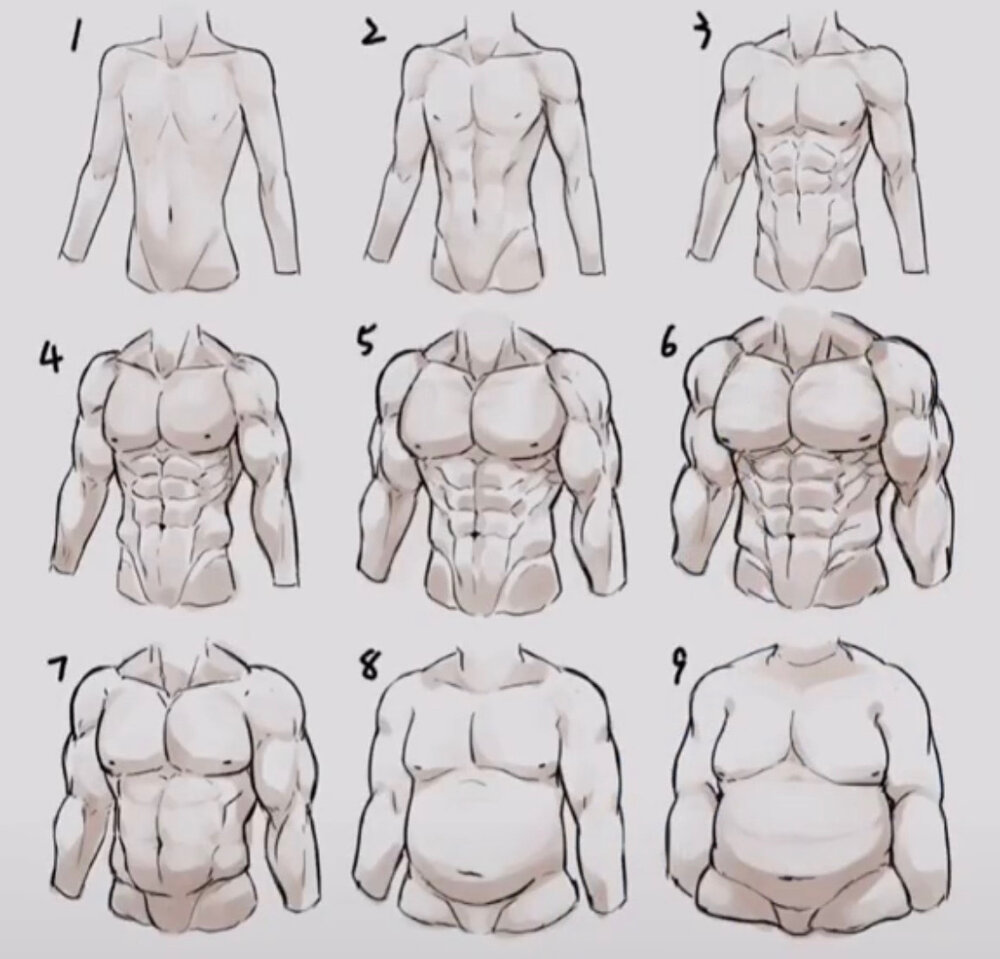 Perfeect Body Ideal body proportions | Looksmax.org - Men's Self-Improvement & Aesthetics