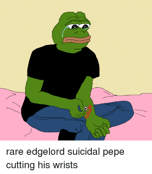 1599081987065