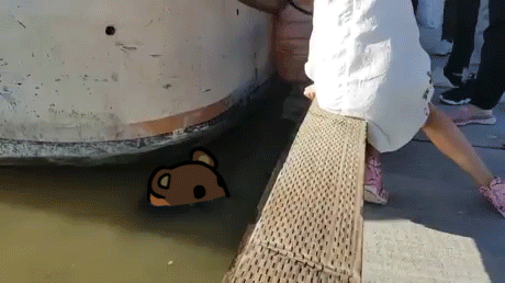 1598992649525