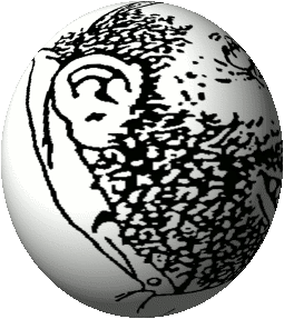 1457412220665