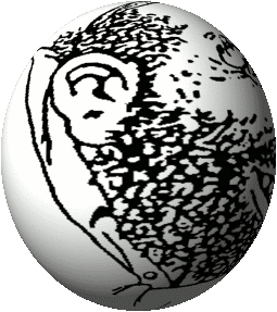 1599208125927