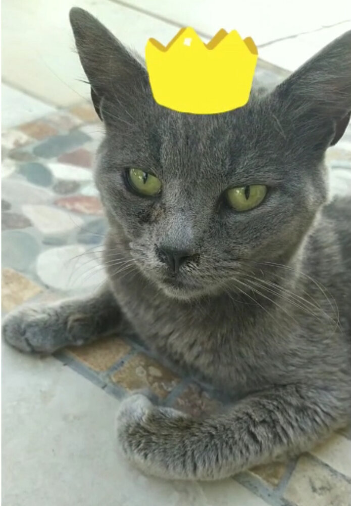 1723CB44 2DD2 4EE5 A7B7 90D640724B3A