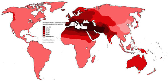 Baldness mapped 813387
