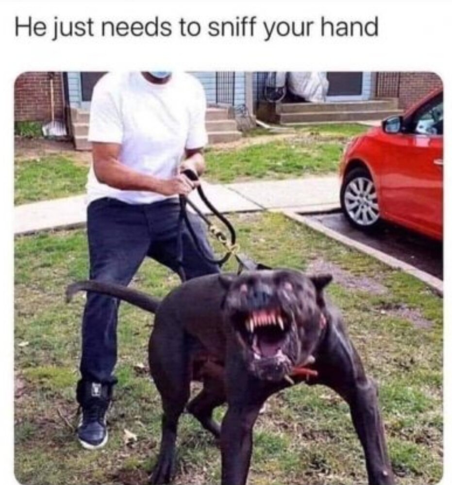 SmartSelect 20200902 124302 Firefox