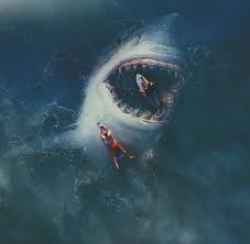 Images 11