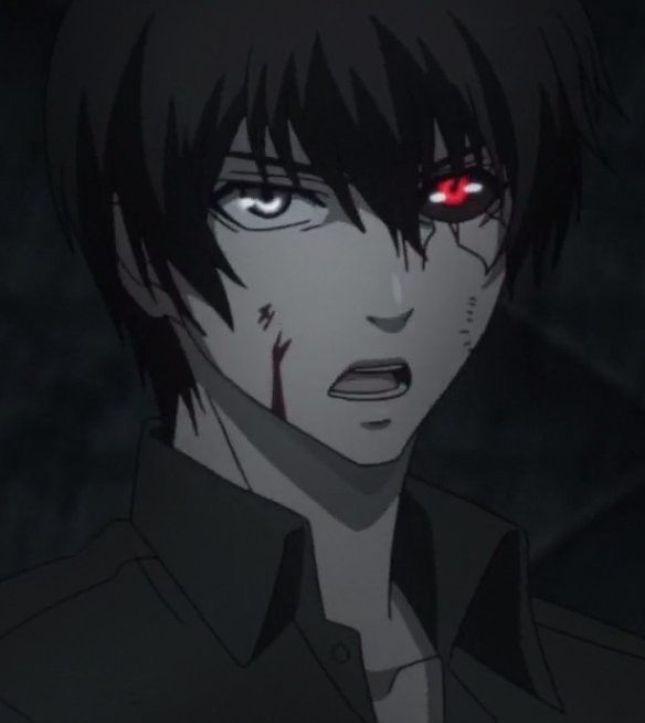 732bd52f5a550039f6bbbdd02cdcebee