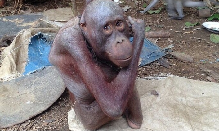 Screenshot 20200901 095908 DuckDuckGo