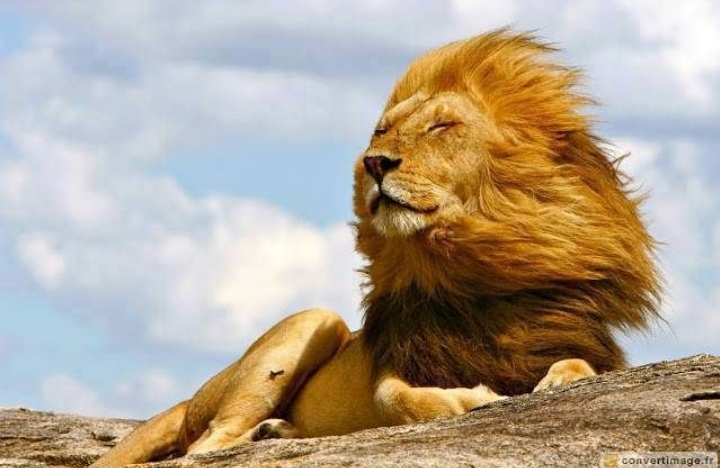 Screenshot 20200901 060536 DuckDuckGo