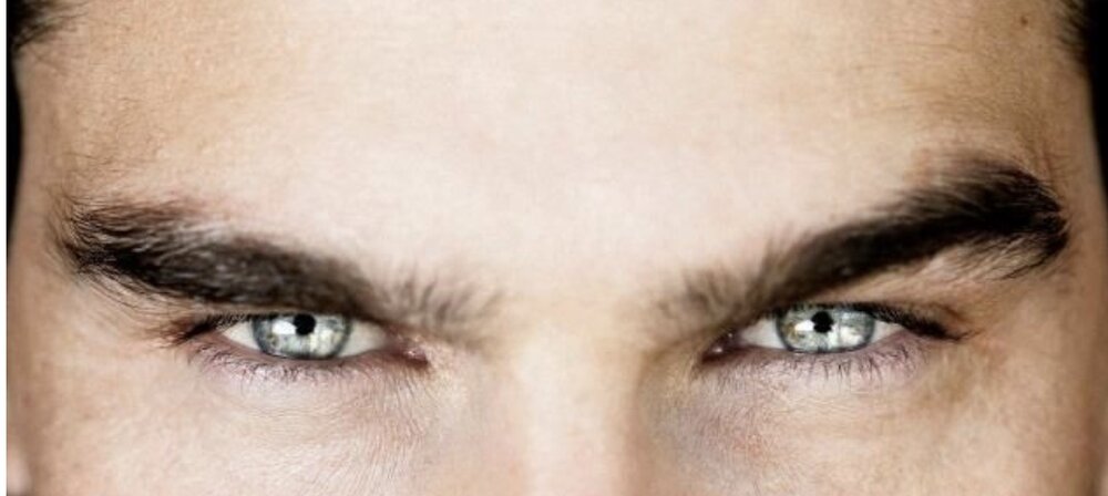 498A78A8 C6AB 4933 935D 8BBE0BF02405