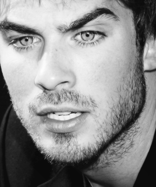 3925c13e9cc87650f71f93b807b2fcce