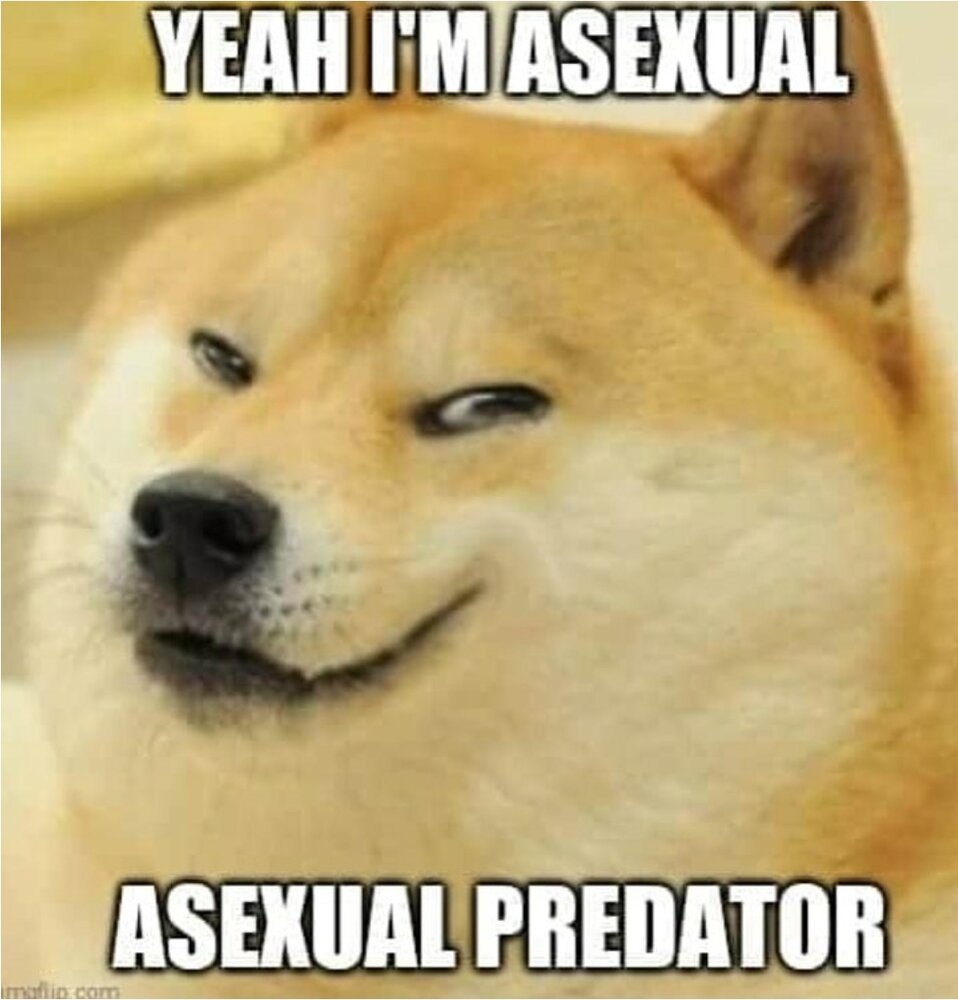 Screenshot 20200827 194950 Instagram