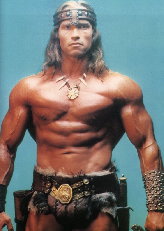 Arnold Schwarzenegger   long hair
