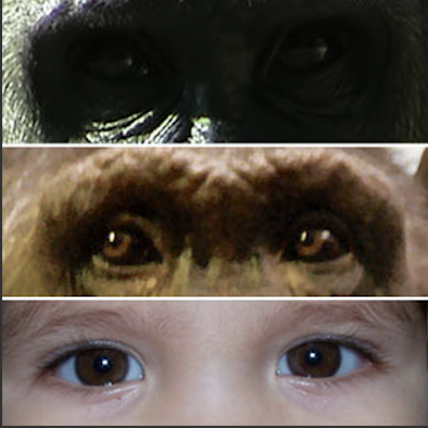 Screen Shot 2020 09 05 at 70205 PM