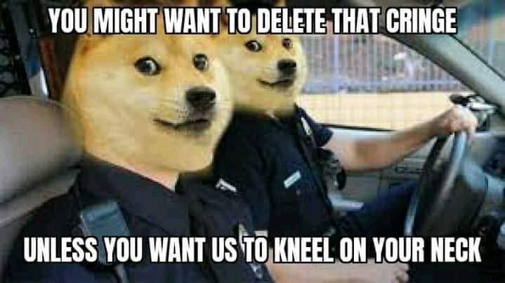 5B032CDC 9E17 46AC 90CB 512265004177