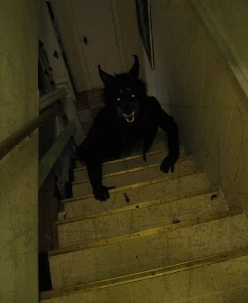 SmartSelect 20200719 114939 Firefox