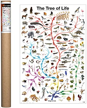 7188w0QeoLL AC SY355 