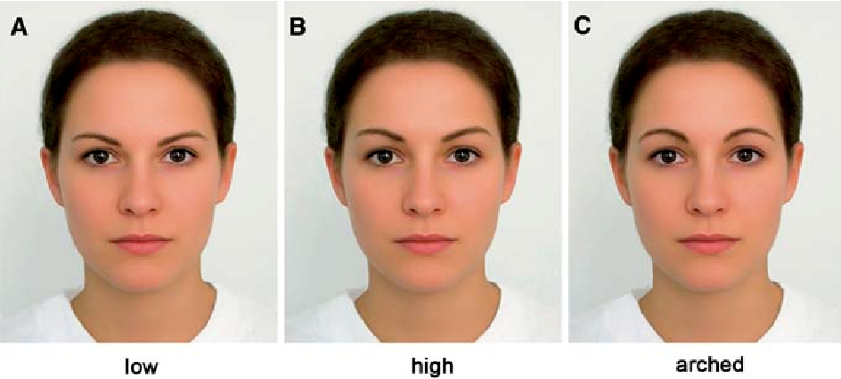 3 Figure2 1
