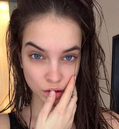 Palvin1