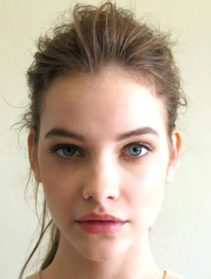 Palvin2