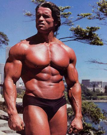 Arnold Schwarzenegger Trainingsplan