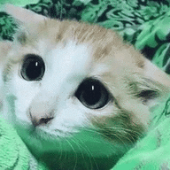 3492