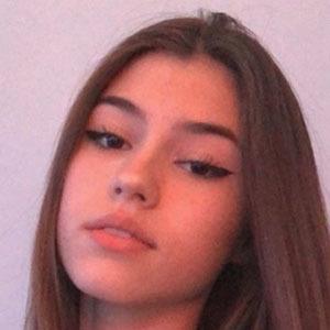 Ava rose image