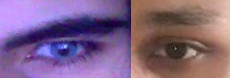 SUABmoggingarabincel