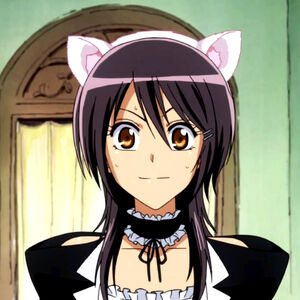 Cat ears Misa