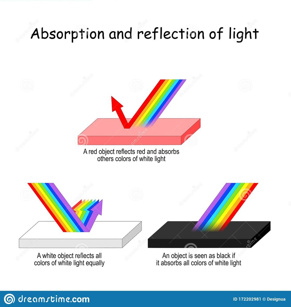 Color light absorption reflection red object reflects absorbs others colors visible white wave