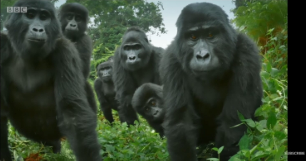 SmartSelect 20200908 025322 WhatsApp