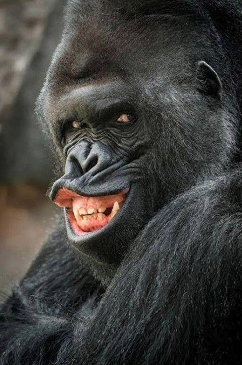 D2d46a5cc6d6fb381dd8ae2365d78299